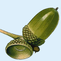 Verification image 3