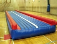 Pineapple tumble tracks Clearance