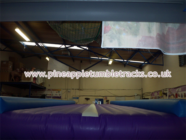 Pineapple Tumble Tracks