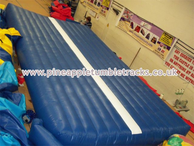 Pineapple Tumble Tracks