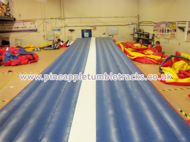 Pineapple Tumble Tracks