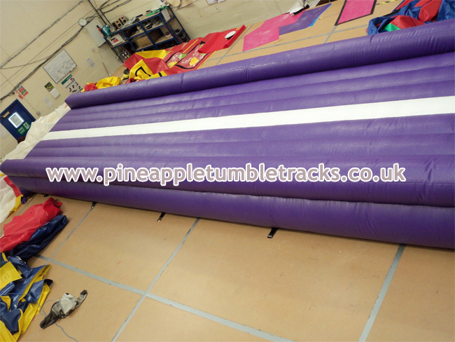 Pineapple Tumble Tracks