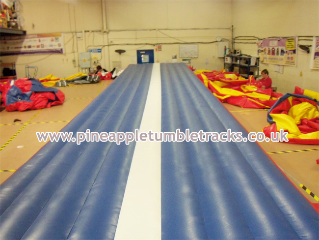 Pineapple Tumble Tracks