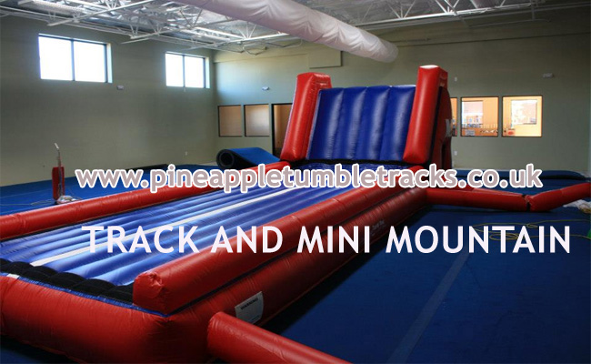 Pineapple Tumble Tracks