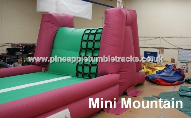 Pineapple Tumble Tracks