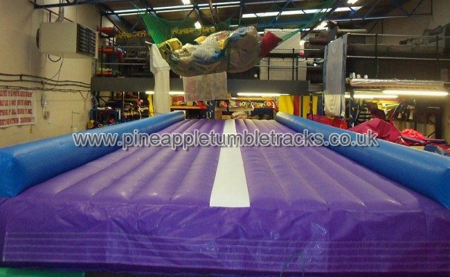 Pineapple Tumble Tracks